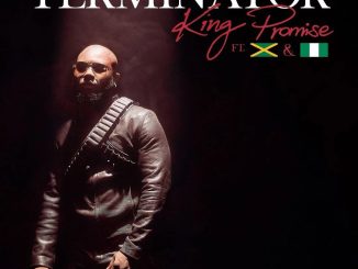 King Promise – Terminator (Remix) Ft. Sean Paul & Tiwa Savage