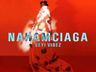 Seyi Vibez – Cana