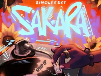 Zinoleesky & DJ Youngstar – Sakara (Speed Up)