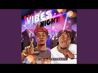 10Tik ft. Stonebwoy – Vibes Of The Night