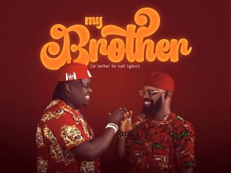 Anyidons – My Brother (a letter to ndi igbo) ft. Mr C-jay