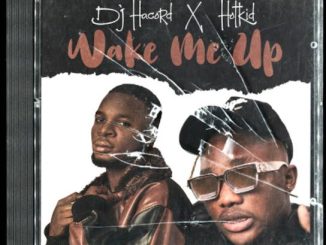 Dj Hacord – Wake Me Up ft. Hotkid