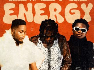 Wayzzie Ft. Tobless & Harteez – Energy