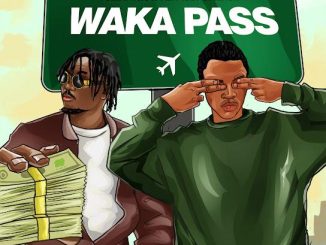 Ysmahnraster – Waka Pass ft. ePianoh