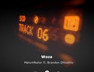 MalumNator – Woza ft Brandon Dhludhlu