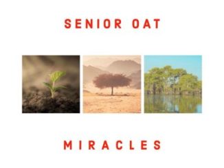 Senior Oat ft Bukeka – I Am Free